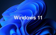 解决 Windows 11 部分软件出现乱码