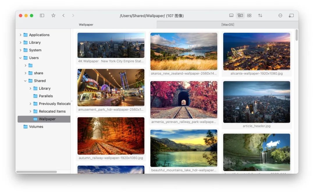 [macOS] FlowVision - 为 macOS 设计瀑布流图片浏览器 第1张