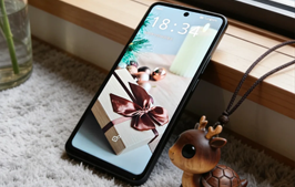 LCD 永不为奴！网友自费定制天玑 8300 的 LCD 屏手机，你会买吗？